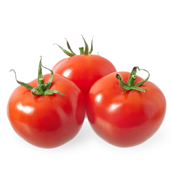Round Tomatoes